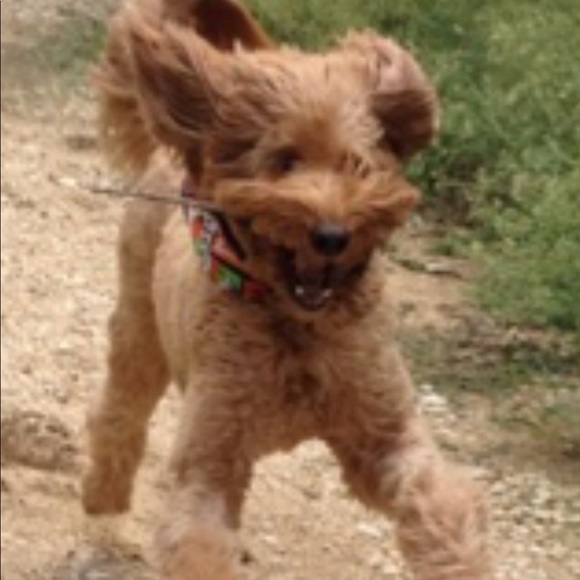 Hi! I’m Annie H. - Picture 3 of 3